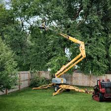 Best Tree Disease Treatment  in Hibbing, MN